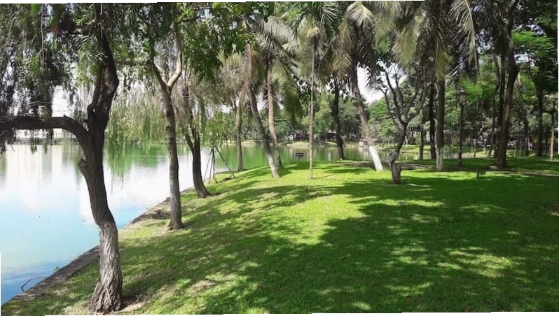 Công Viên 30/4 - Lá phổi xanh của thành phố