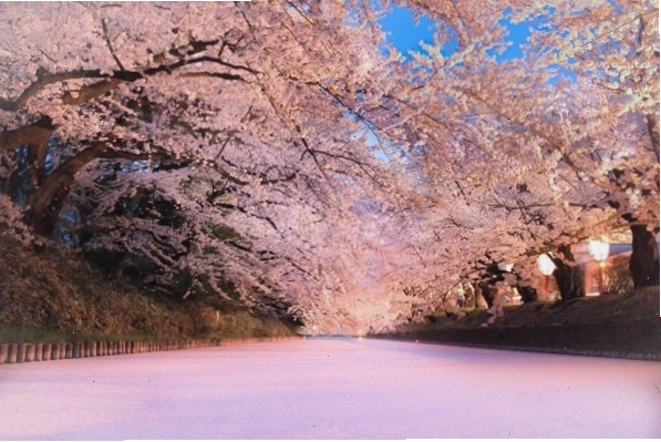 Công viên Hirosaki mùa hoa anh đào