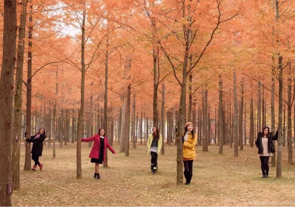 Cung đường đá Hyeonchungsa mùa lá vàng