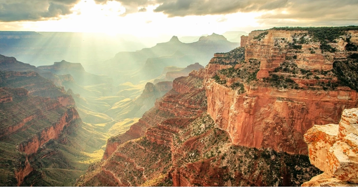 Đa dạng sinh vật tại Grand Canyon, từ chim, động vật có vú đến các loài bò sát