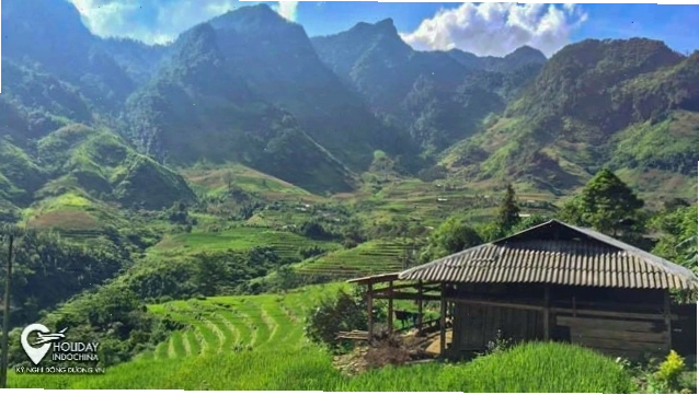 Đà Lạt mùa hoa cải vàng thơ mộng