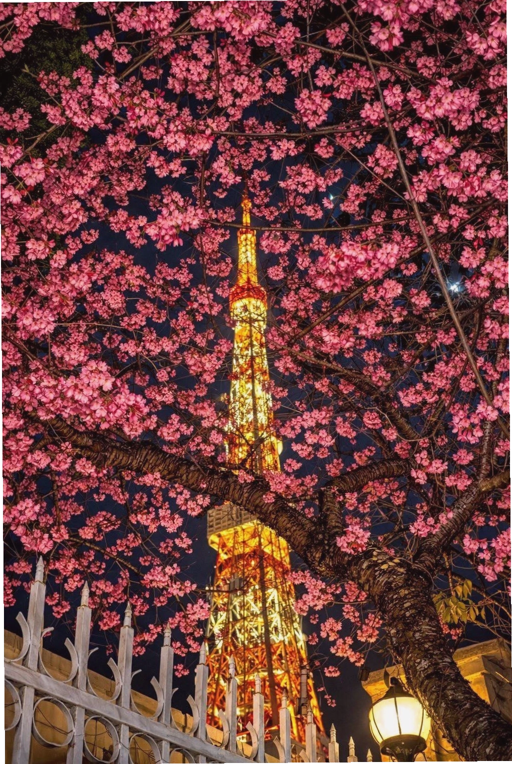 Đà Lạt trong sương sớm, một tòa tháp thép vươn cao gây liên tưởng đến Tháp Eiffel