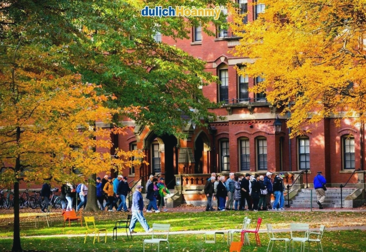 Đại học Harvard danh tiếng