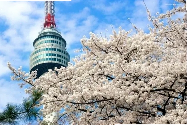 Đài quan sát Tháp Namsan nhìn ra toàn cảnh Seoul