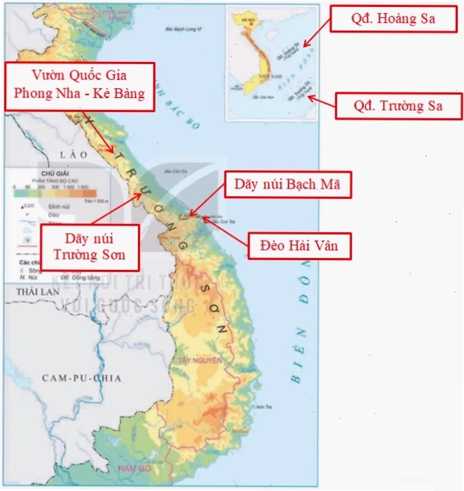 Đàn cừu nhởn nhơ gặm cỏ trên đồng