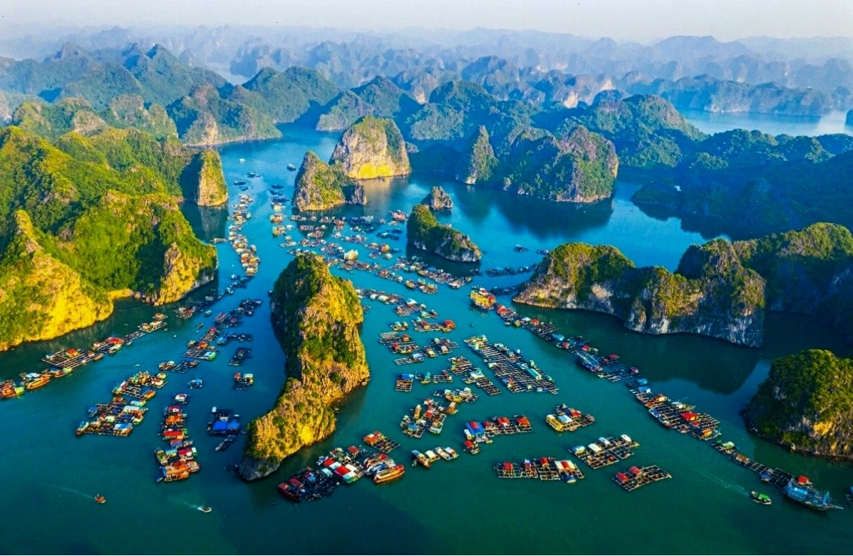 Đảo Cát Bà có hệ sinh thái phong phú, khí hậu mát mẻ quanh năm