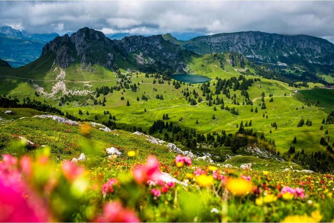 Dãy Alps nhuốm màu vàng đỏ rực rỡ vào mùa thu ở Thụy Sĩ