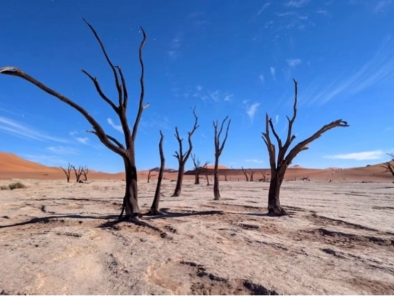 Deadvlei, một thung lũng chết với nhiều cây khô trong sa mạc Namibia