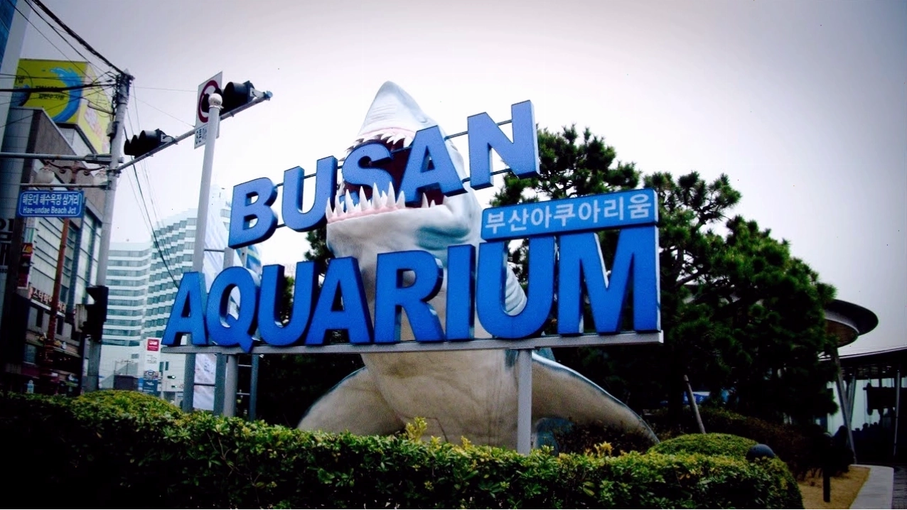 Đền Haedong Yonggungsa nhìn ra biển