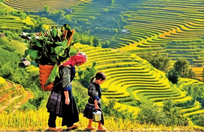 Đèn lồng lung linh huyền ảo tại phố cổ Hội An về đêm