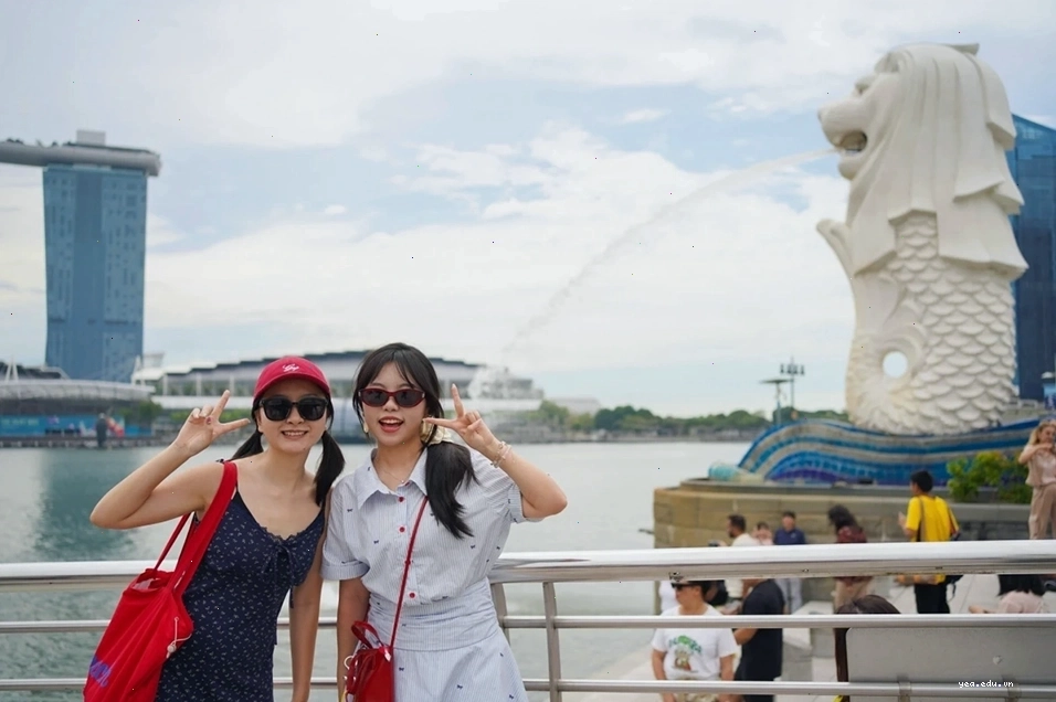 Đèn lồng truyền thống trong lễ hội Nhật Bản