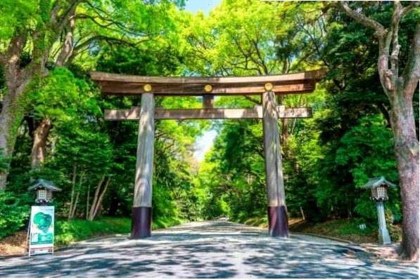 Đền Meiji Jingu thanh tịnh