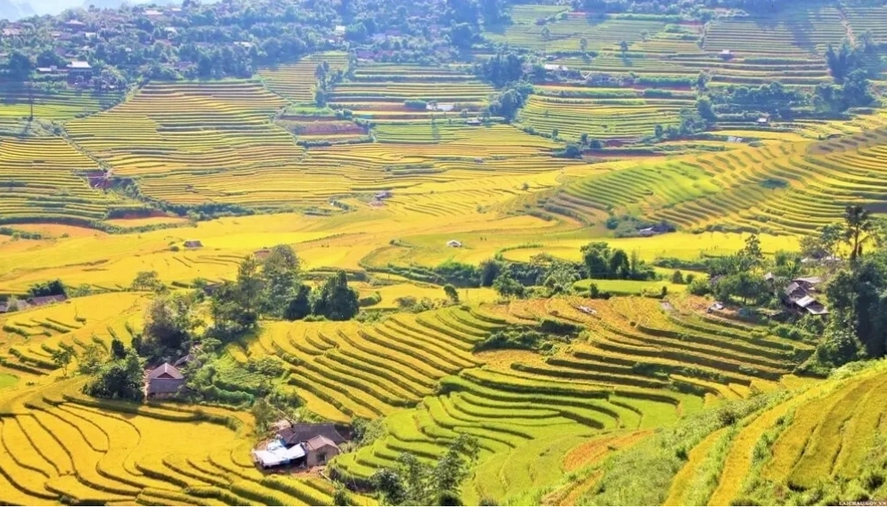 Đèo Ô Quy Hồ, một trong những cung đường đẹp nhất Lai Châu