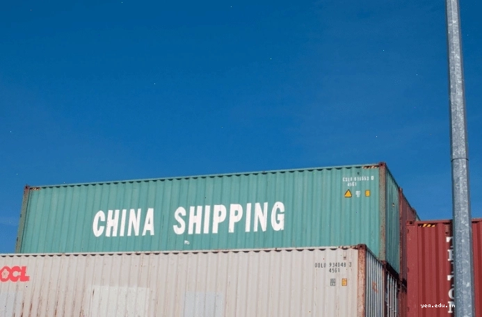 Devanning: Quy trình dỡ hàng hóa khỏi container chuyên nghiệp