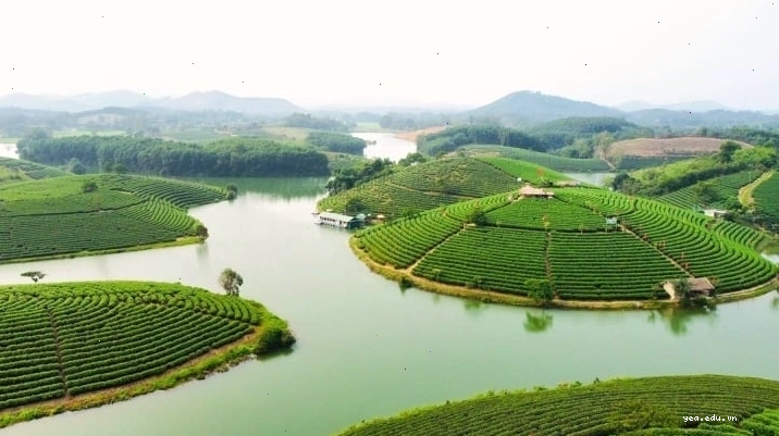 Đĩa cháo lươn Nghệ An nóng hổi, hấp dẫn