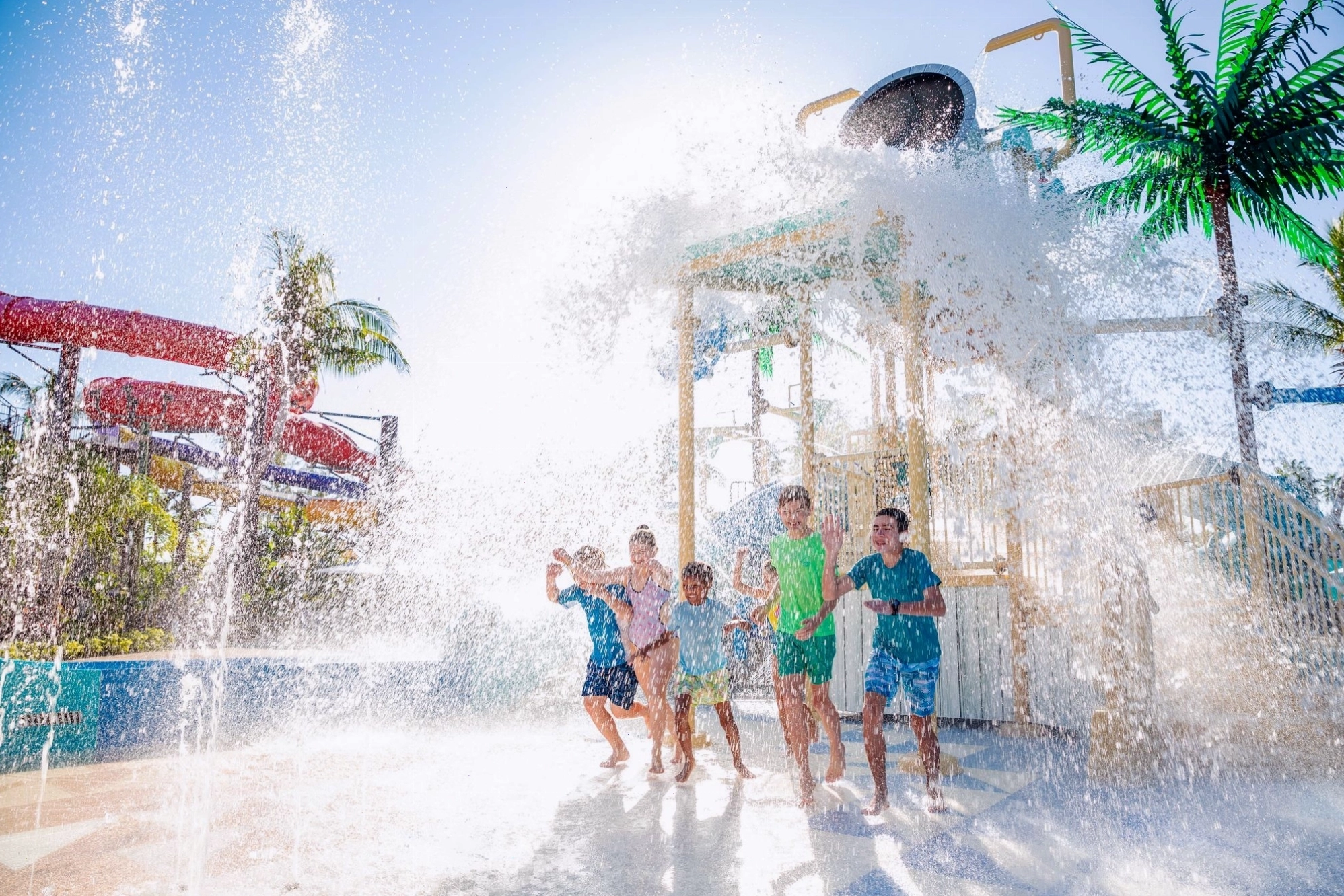 Dịch vụ all inclusive chuyên nghiệp