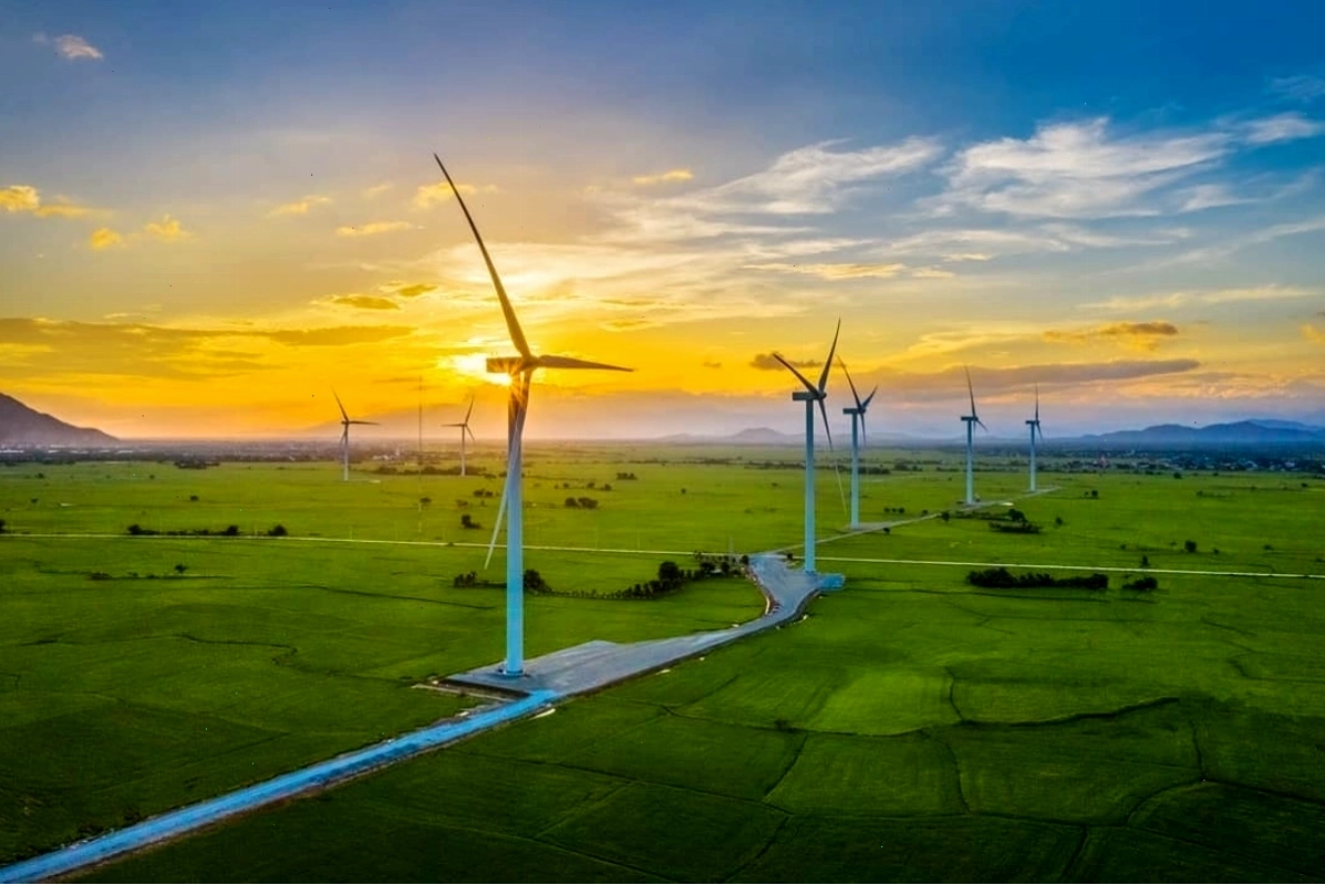 Điện gió Đầm Nại nhìn từ xa, bao quát cả một không gian rộng lớn
