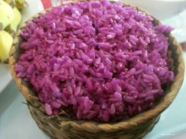 Đỉnh Bạch Mộc Lương Tử