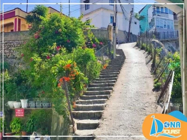 Dốc Nhà Bò Đà Lạt: Điểm Check-in "Huyền Thoại" Cho Ảnh Triệu Like