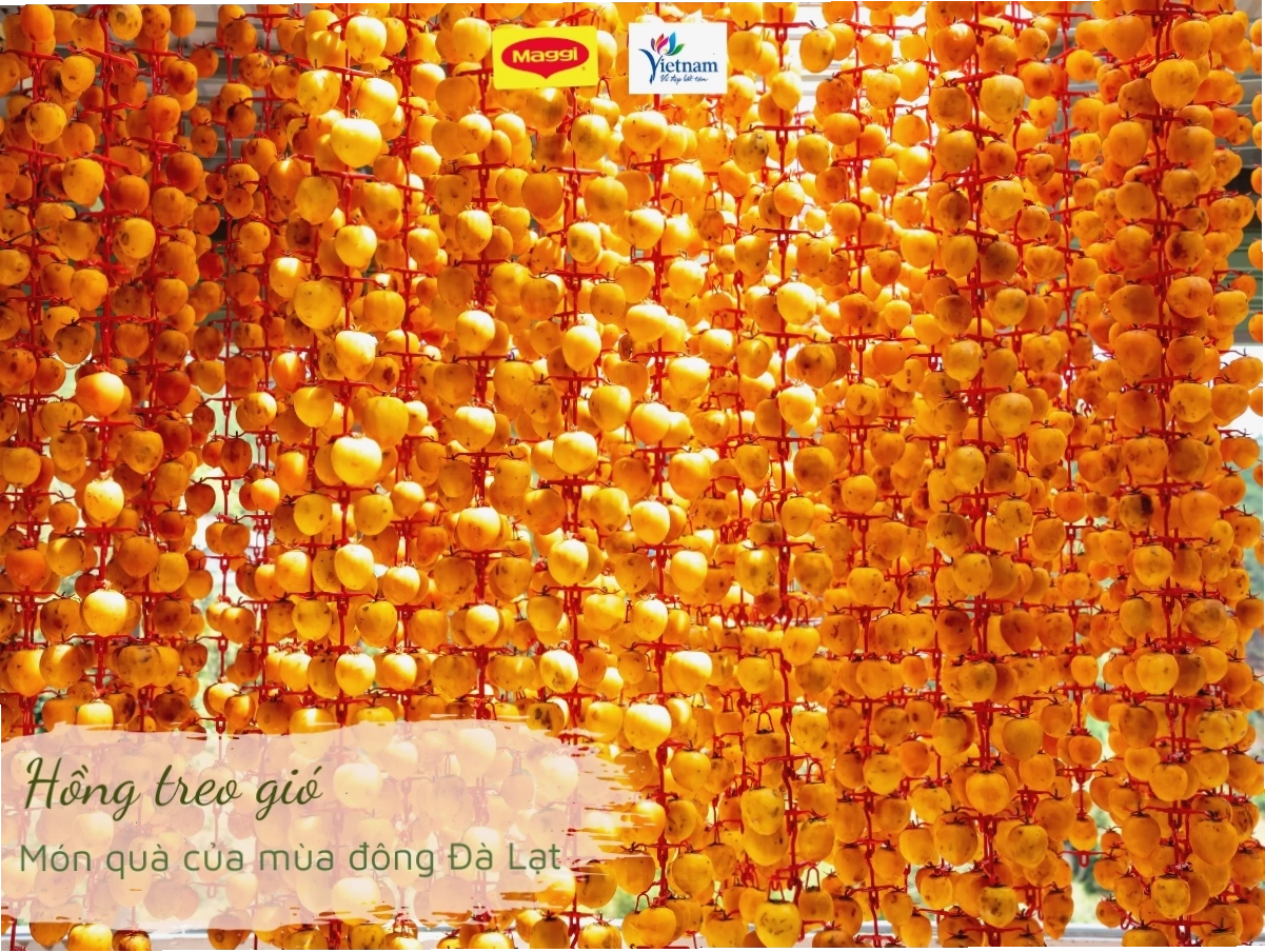 Đồi cà phê bạt ngàn tại Đắk Lắk