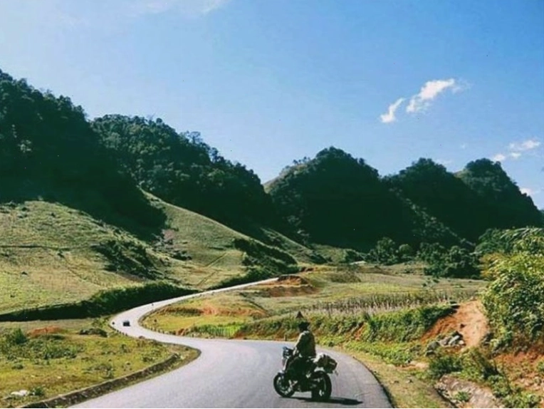 Đồi chè Mộc Châu xanh mướt