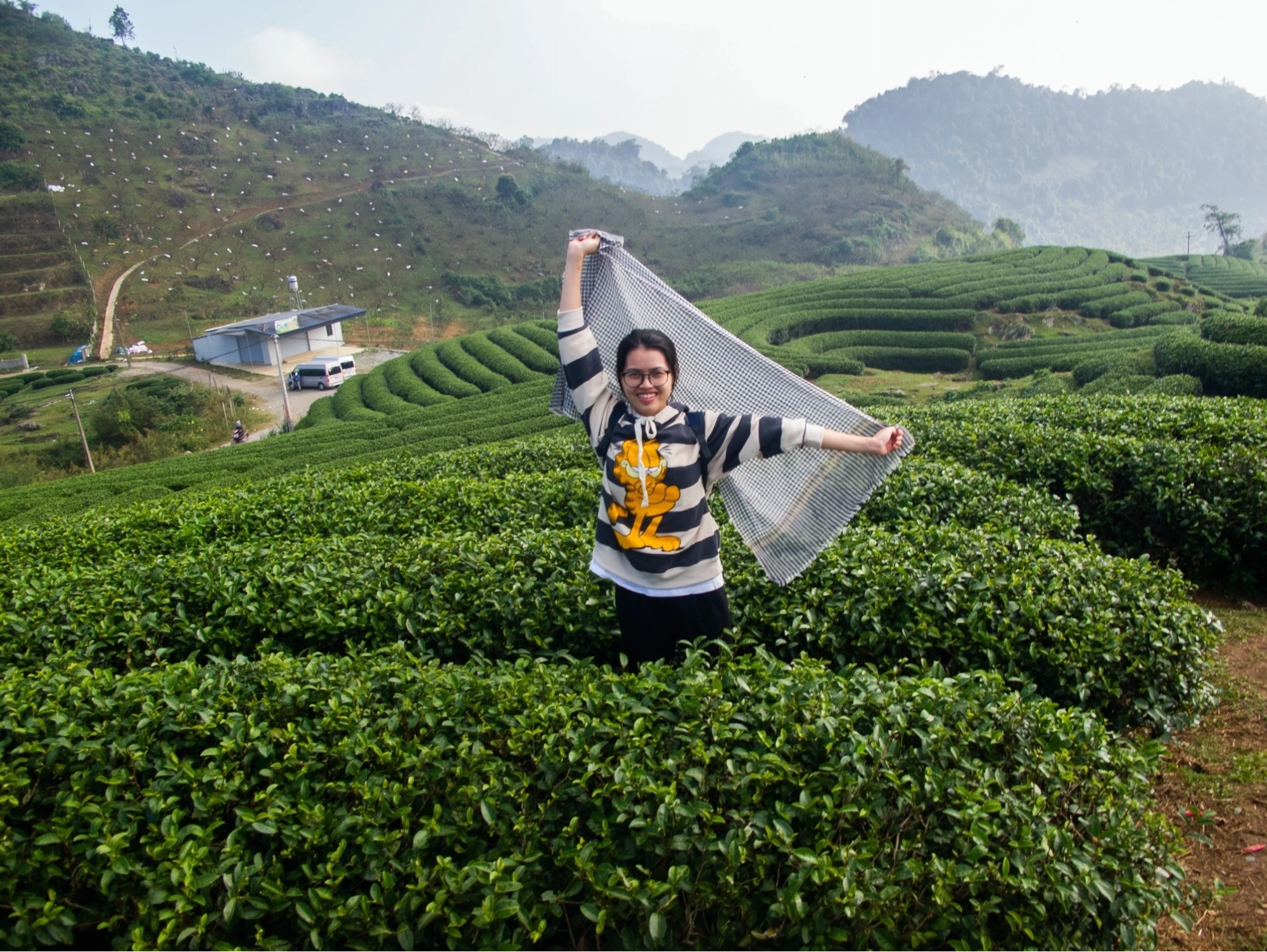 Đồi chè Trái Tim Mộc Châu xanh mướt và thơ mộng