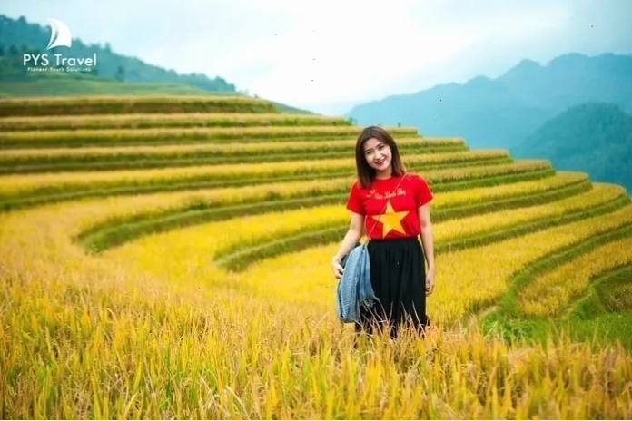 Đồi chè trái tim Mộc Châu xanh mướt