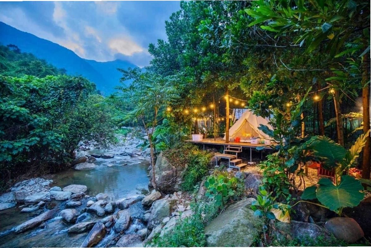 Đồi chè xanh mướt tại Sông Cầu Thái Nguyên