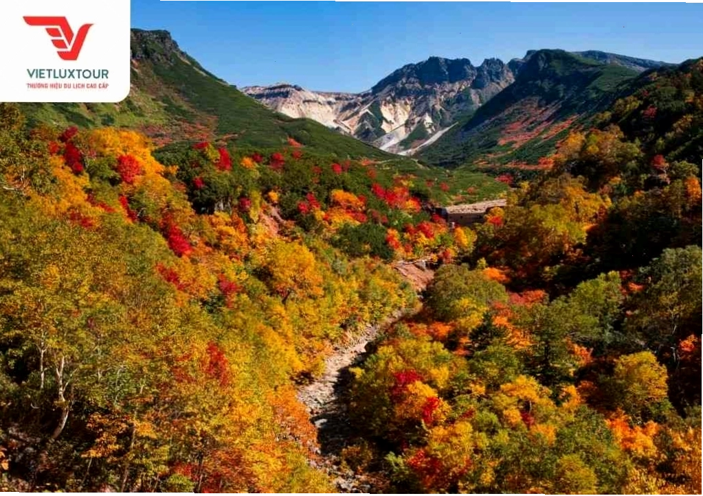 Đồi hoa trên vùng nông thôn Biei, Hokkaido