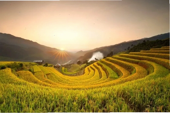 Đồi Mâm Xôi tại La Pán Tẩn, Mù Cang Chải