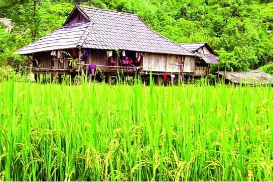 Đồi núi trùng điệp đặc trưng địa hình của Yên Bái