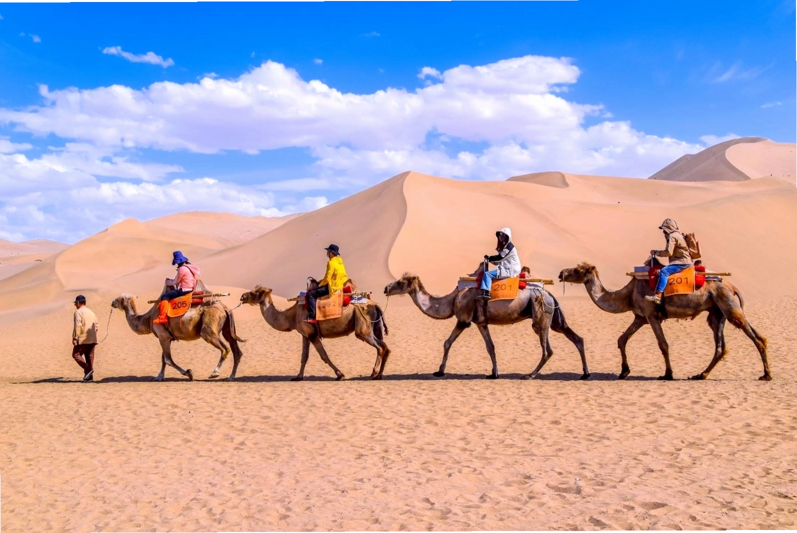 Đôn Hoàng - ốc đảo văn hóa trên Con đường Tơ lụa với nhiều nền văn hóa giao thoa