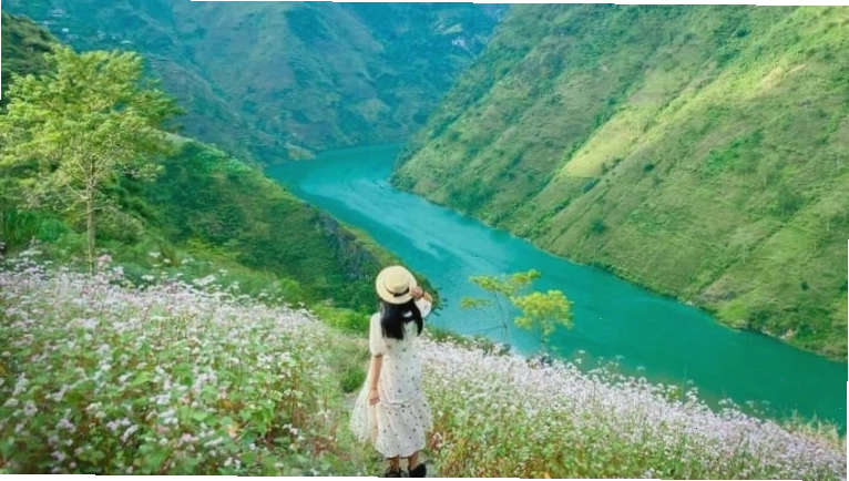 Dòng sông Nho Quế xanh biếc giữa lòng hẻm núi hùng vĩ