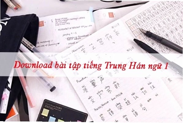 Download bài tập tiếng Trung Hán ngữ 1