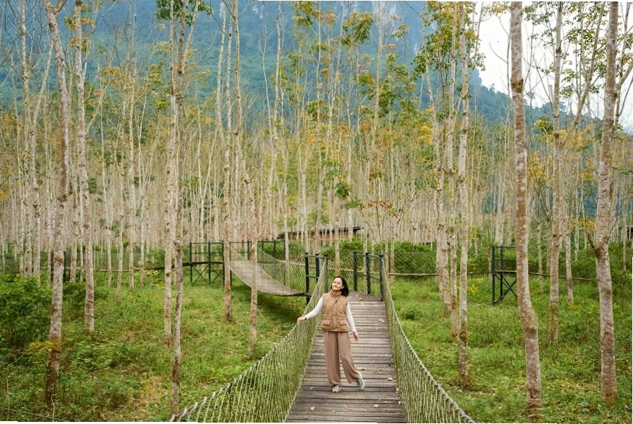 Du khách chèo SUP trên dòng suối tại Blue Diamond Retreat