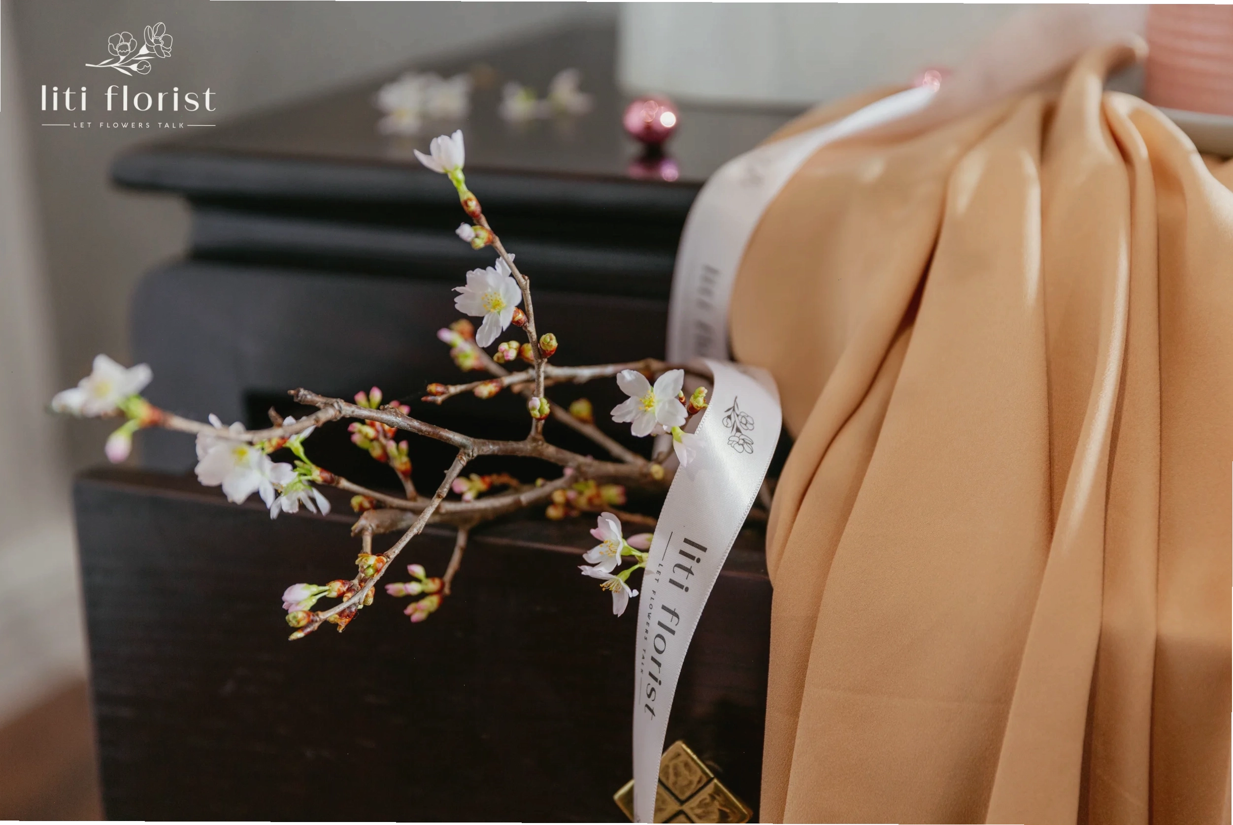 Du khách chụp ảnh kỷ niệm dưới tán hoa anh đào sakura
