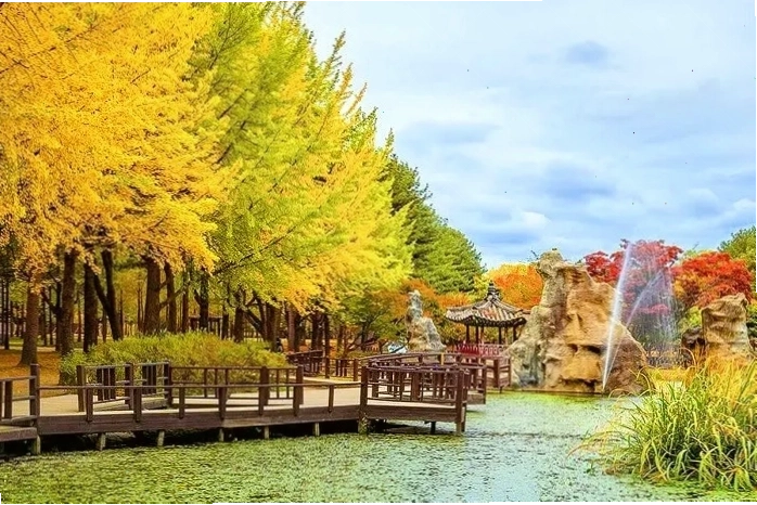Du khách chụp ảnh kỷ niệm tại một địa điểm du lịch nổi tiếng ở Hàn Quốc vào mùa thu