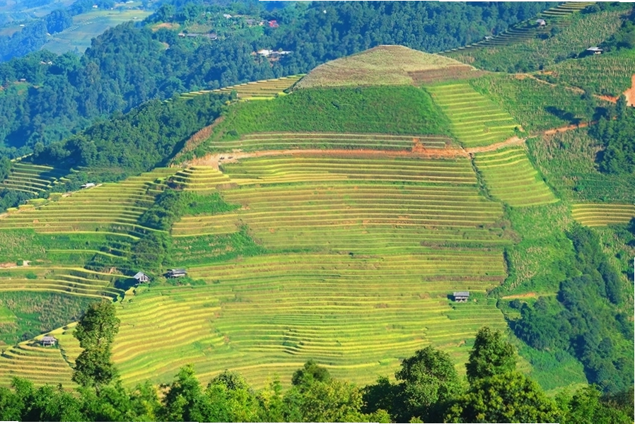Du khách chụp ảnh với ruộng bậc thang Mù Cang Chải