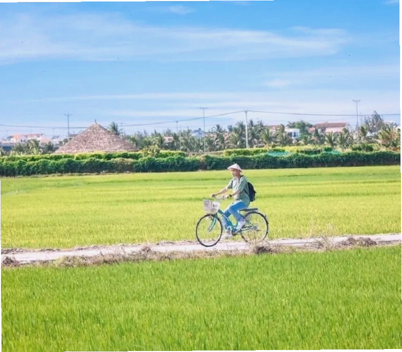 Du khách đạp xe khám phá bản làng Mường Lò