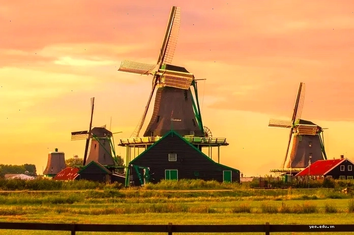 Du khách đạp xe trên đường phố Amsterdam