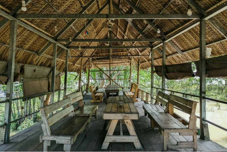 Du khách tham gia hoạt động hái rau tại 5Ku Farm