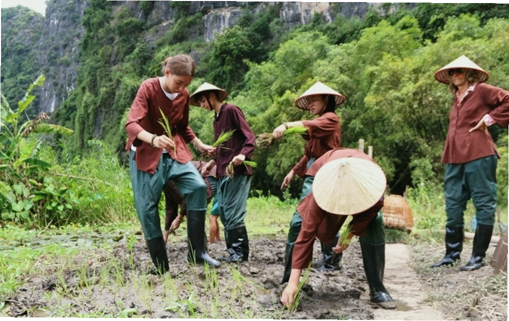 Du khách tham gia hoạt động làm nông trong chuyến du lịch trải nghiệm