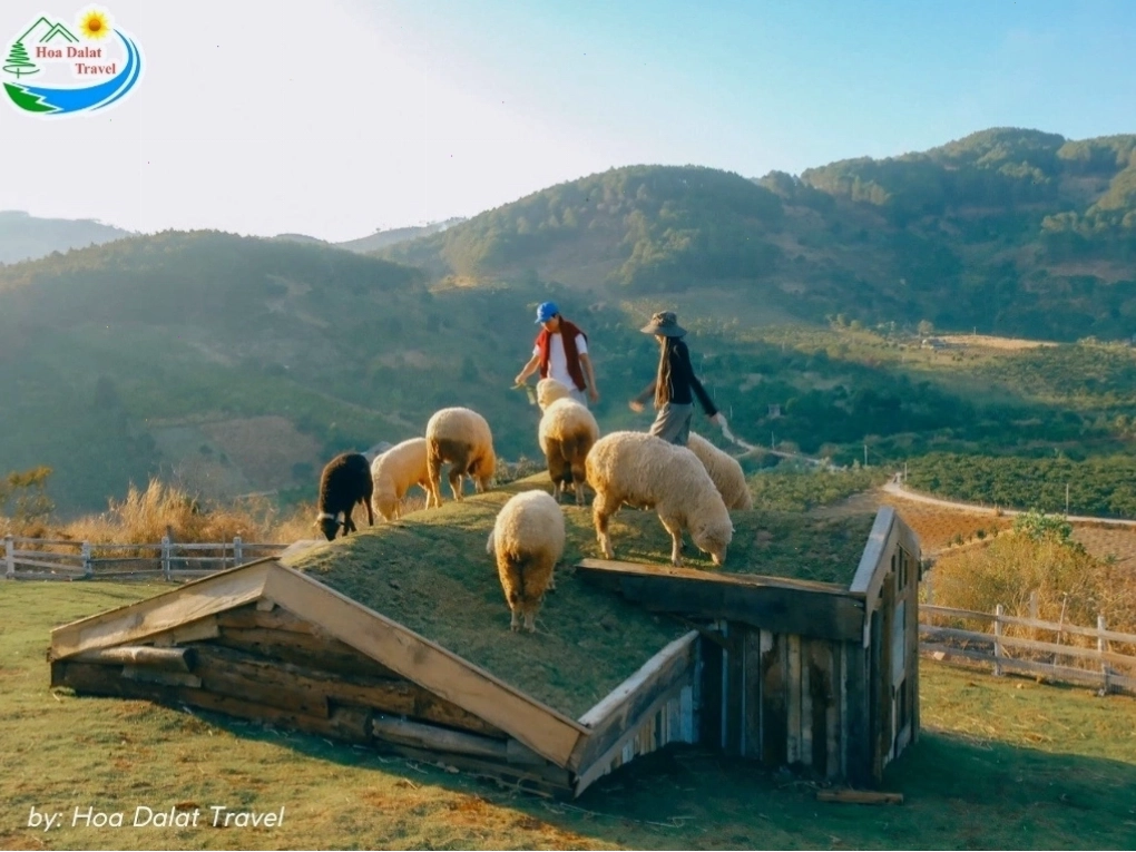 Du khách tham quan Chika Farm Đà Lạt