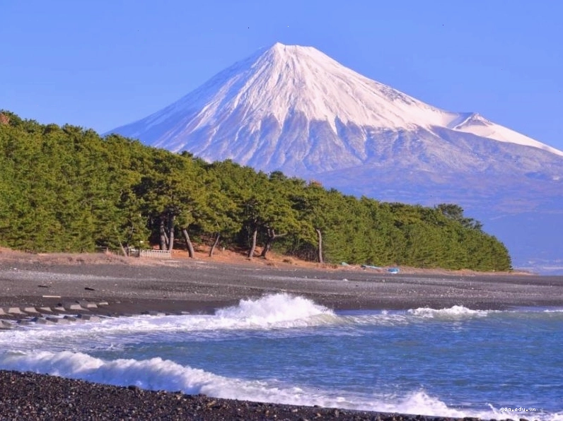 Du khách tham quan một ngôi đền tại Shizuoka
