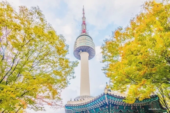 Du khách tham quan Tháp Namsan