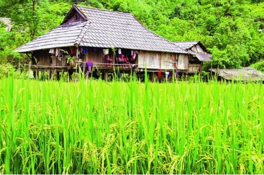 Du khách thành tâm dâng hương tại Đền Đông Cuông