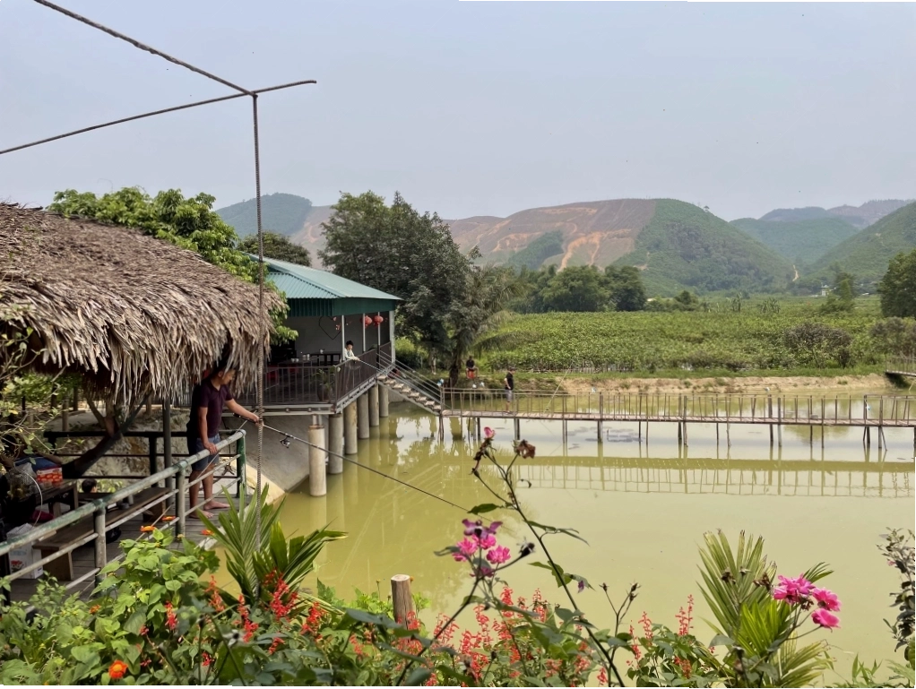 Du khách trải nghiệm hái thanh mai tại nông trại