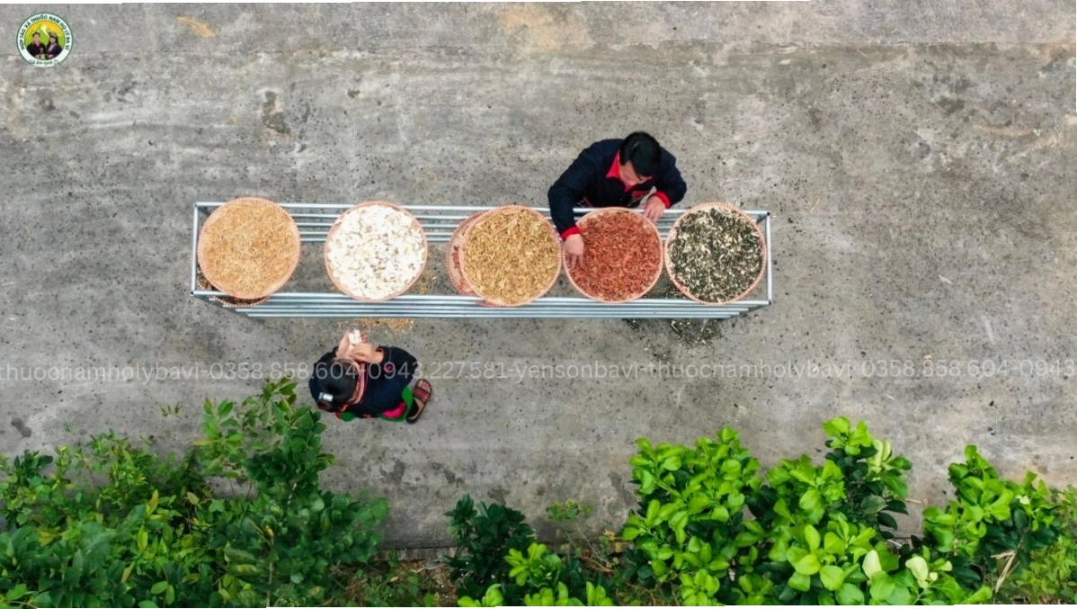Du khách trải nghiệm không gian xanh tại Yên Sơn Ba Vì