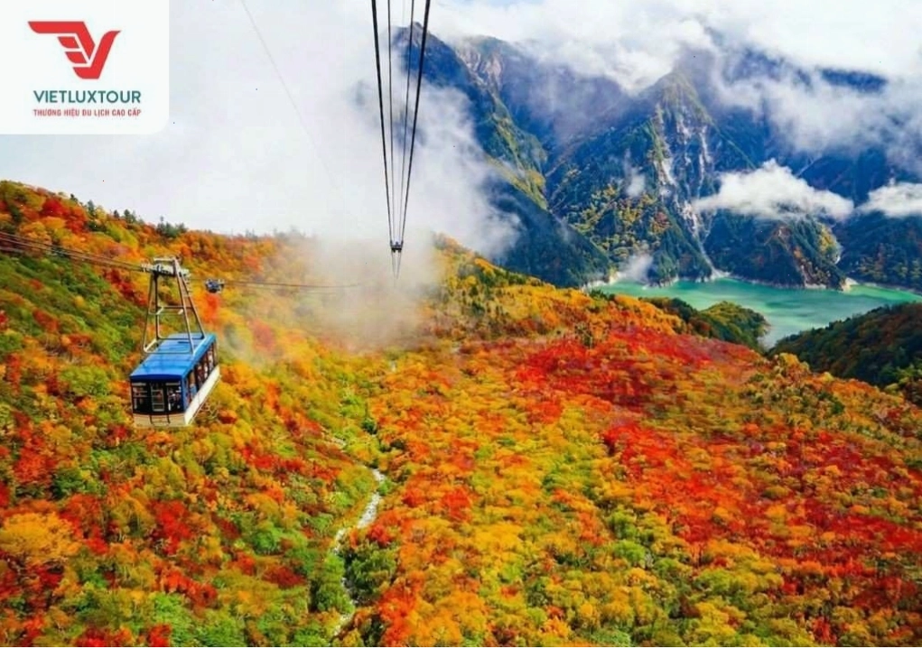 Du khách trải nghiệm mùa lá đỏ Nhật Bản