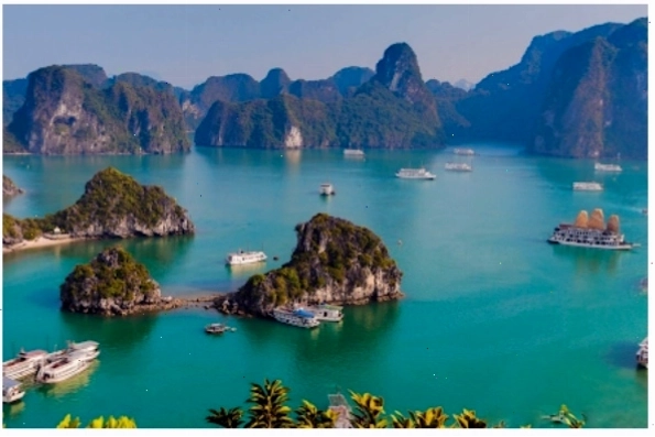 Du khách trẻ tham gia dự án tình nguyện vì cộng đồng